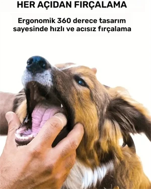 1 Adet - Süper Yumuşak Köpek ve Kedi Parmak Diş Fırçası | Yavru Köpekler ve Küçük Evcil Hayvanlar İçin Nazik Diş Temizleme Aracı | Stoktaki Uygun Renge Göre Gönderilecektir - 2