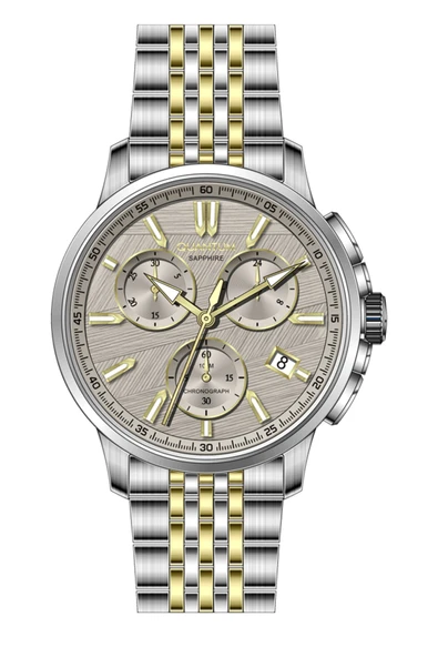 QUANTUM Pwg1214.260 Erkek Kol Saati ürün görseli