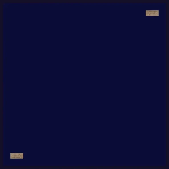 GÜZ | YAZ SERİNLİĞİ EŞARP 90 x 90  GYSEDÜZ - 5