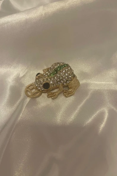 Feng Shui Ejderha Yılı Koruyucu Bereket Zenginlik Şans Sembolü Para Lı Kurbağa Swaroski Taşlı - Resim 5