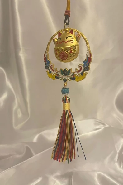 Feng Shui Para Kedisi Ejderha Yılı Buda Şans Para Bolluk Bereket Duvar Süsü - Resim 6