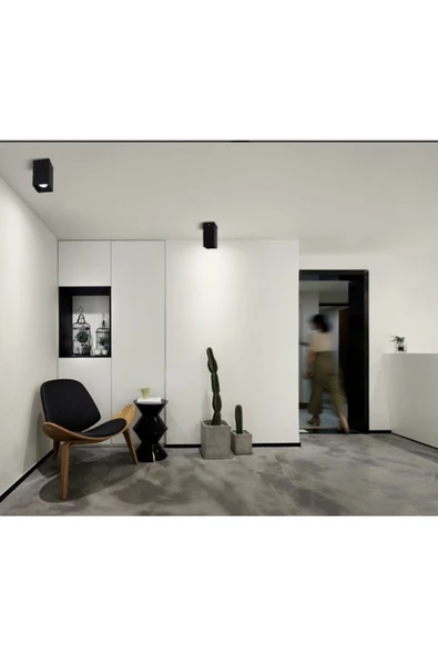 Cata Tapled Aydınlatma Ct-5420 Foça 7 Watt Ledli Siyah Platin Renk Sıva Üstü Dekoratif Spot - 6