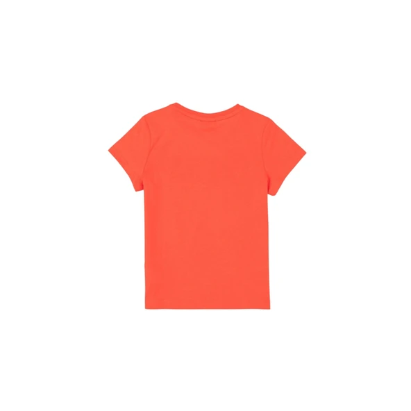 Erkek Çocuk Bisiklet Yaka T-shirt - Resim 6