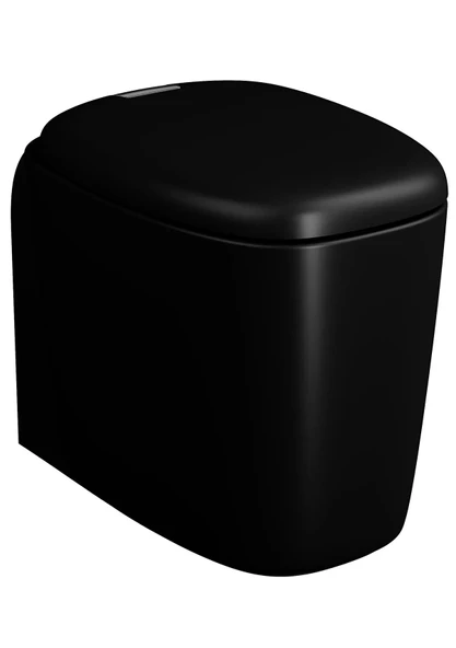 VitrA Yerden Tek Klozet Plural Rim-Ex Duvara Tam Dayalı 55 cm, Mat Siyah 7815B483-0090 ürün görseli 1