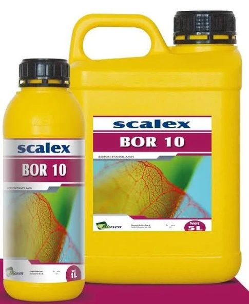 SCALEX BOR 10   1 LT - 1