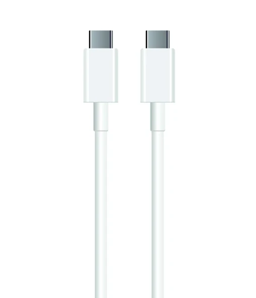 ZR935 Type-C To Type-C 100W Kablo 3 M - 1