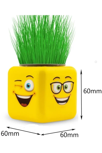 Sezen Çim Adam Çimoji Küp Çok Renkli 1 Adet - 4