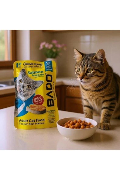 MyClean Bado Somonlu Jöleli Yaş Yetişkin Kedi Maması %100 Taze Et 85gr 2 Adet