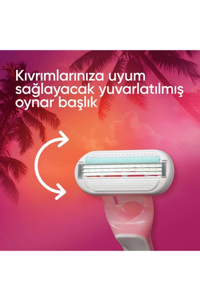 Gillette Venus Smooth Miami 3 Lü - Resim 6