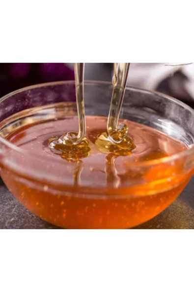 Aslan Kuruyemiş Süzme Bal - 2