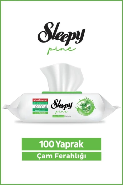 Sleepy Pine Yüzey Temizlik Havlusu&Mendili Çam Ferahlığı 100 Yaprak ürün görseli 1