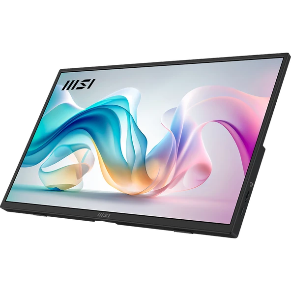 MSI PRO MP165 E6 15.6 inc  60Hz 4ms HDMI Type-C IPS Portatif Monitör - Resim 3