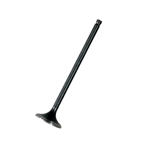 TVS Raider 125 Egzoz Subap N8011710 - 1