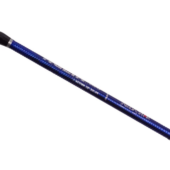 Albastar Aglia 2015 Olta Kamışı  Standart 180CM - Resim 11