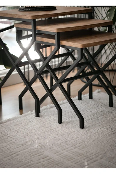 Modern Estetik Minimalist Çok Amaçlı Siyah Metal Ayak 3'lü Doğal Ahşap Zigon Sehpa - 4
