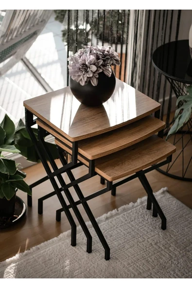 Modern Estetik Minimalist Çok Amaçlı Siyah Metal Ayak 3'lü Doğal Ahşap Zigon Sehpa - 3