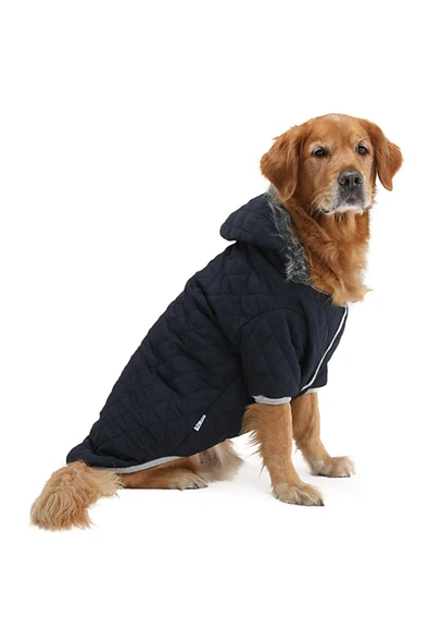 Büyük Irk Lacivert Puf Köpek Montu-köpek Yağmurluğu - 2