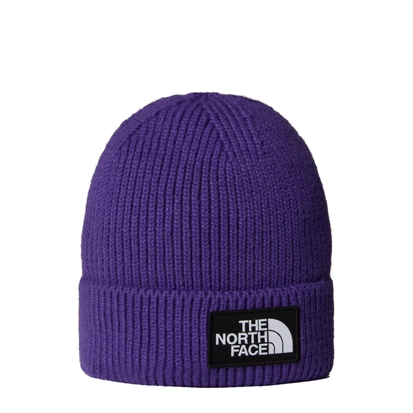 The North Face TNF Logo Box Cuffed Unisex Bere NF0A8CHENL41 ürün görseli 1