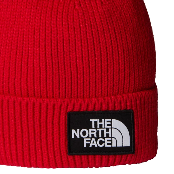 The North Face TNF Logo Box Cuffed Unisex Bere NF0A8CHE6821 - Resim 3