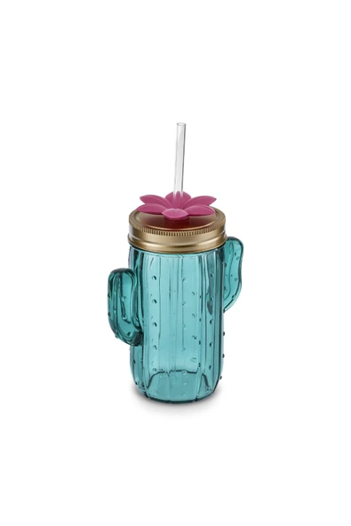 Kaktüs Transparent Pipetli Su Şişesi 350 Ml - Resim 6