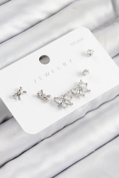 Pirinç Zirkon Taşlı Fiyonk Model Gümüş Renk 925 Ayar Gümüş Çivi Kadın Küpe Set - TJ-BKP11173 ürün görseli