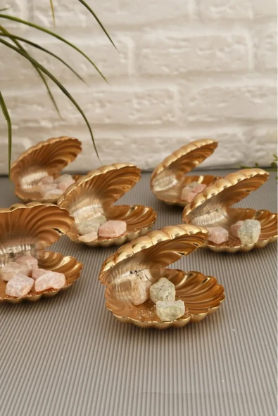 Mucit Home Brano 6 Lı Kahve Yanı Istiridye Lokumluk Gold - 3