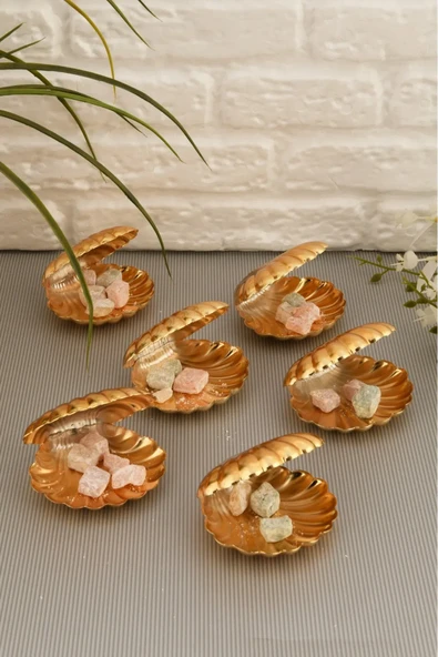 Mucit Home Brano 6 Lı Kahve Yanı Istiridye Lokumluk Gold - 5