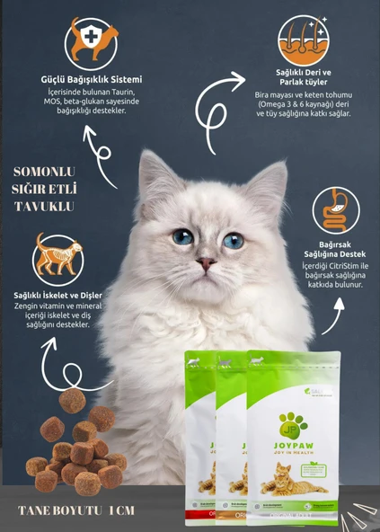 Kitten Eko Tavuklu Yavru Kedi Maması 3 Kg - Resim 3