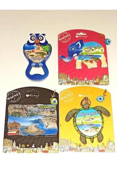 Monalisa Home 4 Adet Farklı Model Desenli Renkli Kültürel Mıknatıslı Magnet ürün görseli