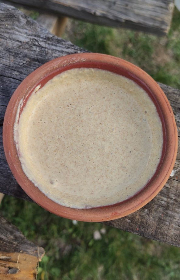 Eğriceova Yaylası - Katkısız Siyez Ekşi Maya 300 gr - 2