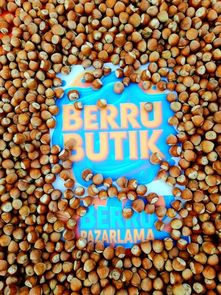 Organik Fındık - Doğal Fındık - Kabuklu Giresun Fındığı - 3