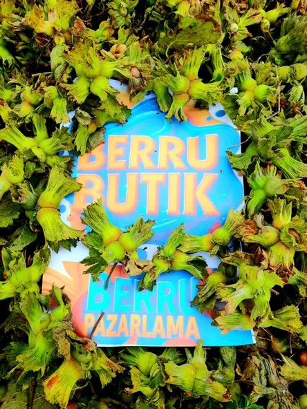 Organik Fındık - Doğal Fındık - Kabuklu Giresun Fındığı