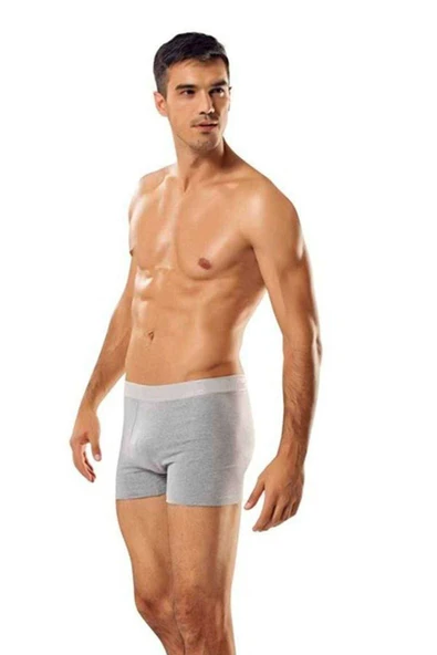 LitaeTrend 3 adet Tutku Likralı Erkek Gri Boxer 0114 - 1