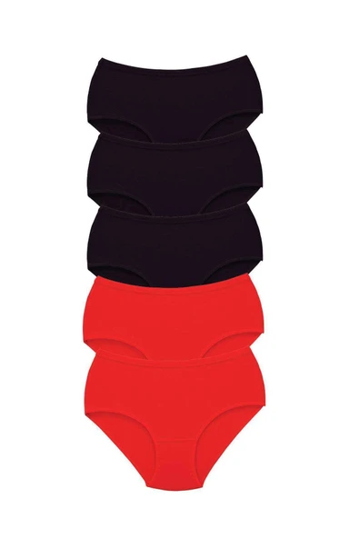 LitaeTrend 5 Adet Tutku Kadın Yüksek Bel Bato Kalın Lastik Külot S2 ürün görseli 1