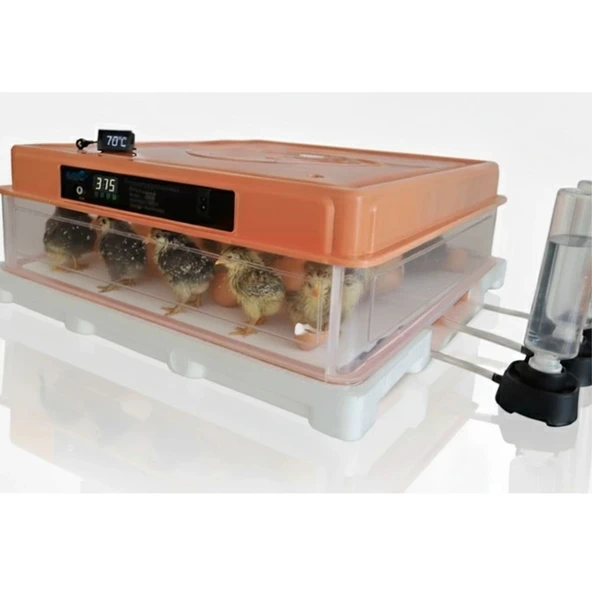 Evonest Kuluçka Makinesi GFALLX dönüşüm-Ek performans-120 Yumurtalık | Turuncu Renk - 11