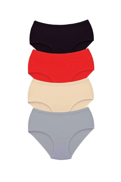 LitaeTrend 4 Adet Tutku Kadın Yüksek Bel Bato Kalın Lastik Külot S11 ürün görseli 1