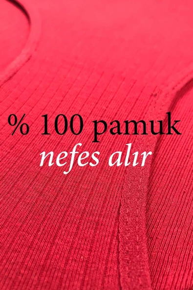 LitaeTrend 4 Adet Kadın Yüksek Bel Ribana Bato Külot S102 - Resim 3