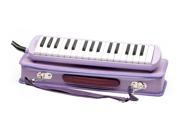Supertrend Melodika 32 Tuşlu Özel Çantalı PASTEL MOR - 1