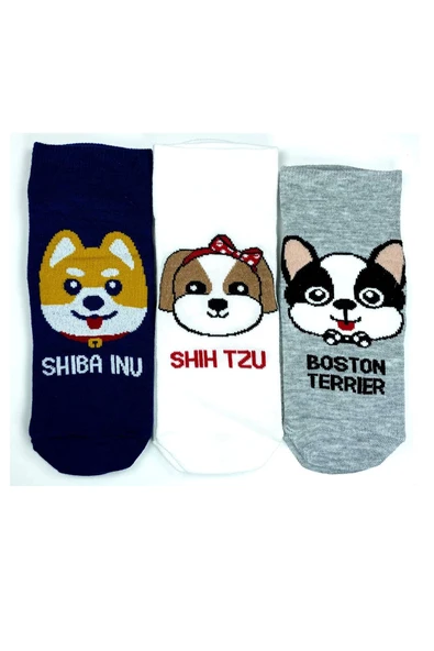 LitaeTrend 3 Çift Sevimli Köpek Temalı Baskılı Yumuşak Kadın Bilek Çorap ürün görseli