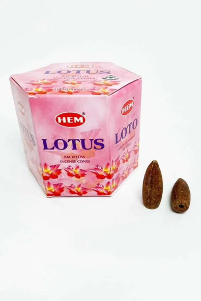 LitaeTrend 10 Adet Geri Akış Backflow Şelale Tütsü Konisi Tütsü Back Lotus Vanilla - 4