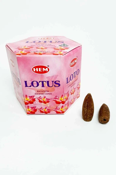 LitaeTrend 10 Adet Geri Akış Backflow Şelale Tütsü Konisi Tütsü Back Musk Lotus - 4