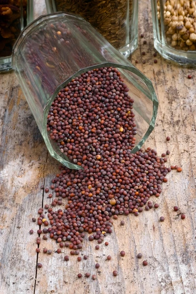 LitaeTrend Siyah Hardal Tohumu Deluxe Seri Organik Lezzetli 300 Gr - Resim 3