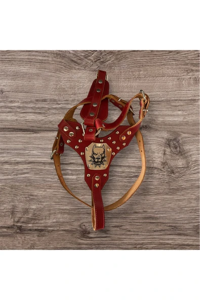 Zirve Tasma %100 Hakiki Deri Gladyatör Köpek Tasması - Resim 2