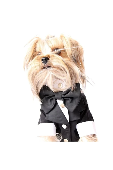MAXSTYLESPET Pet Smokin - Siyah - Köpek Ve Kedi Için Düğün Nikah Nişan Evlilik Kıyafeti Damatlık ürün görseli