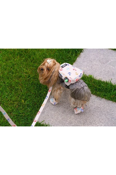 MAXSTYLESPET Pet Sırt Çantası, Krem Kedi Köpek Için Tasma Gerektirmeyen Çanta, Gezdirme Kayışı Ile Birlikte