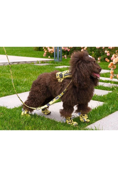 MAXSTYLESPET Pet Sırt Çantası, Sarı - Kedi Köpek Için Tasma Gerektirmeyen Çanta, Gezdirme Kayışı Ile Birlikte