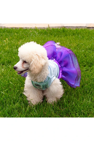 MAXSTYLESPET Kedi Köpek Elbisesi - Rüya Tütü Elbise - Özel Gün Kedi Köpek Abiyesi - Resim 5