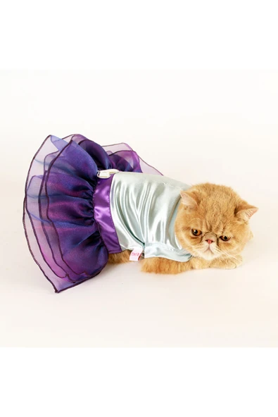 MAXSTYLESPET Kedi Köpek Elbisesi - Rüya Tütü Elbise - Özel Gün Kedi Köpek Abiyesi - Resim 3