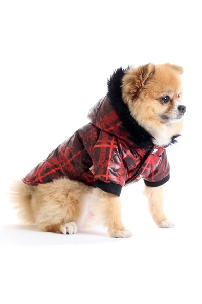 MAXSTYLESPET Pet Mont Ekose Desenli Köpek Kedi Kıyafeti - 1