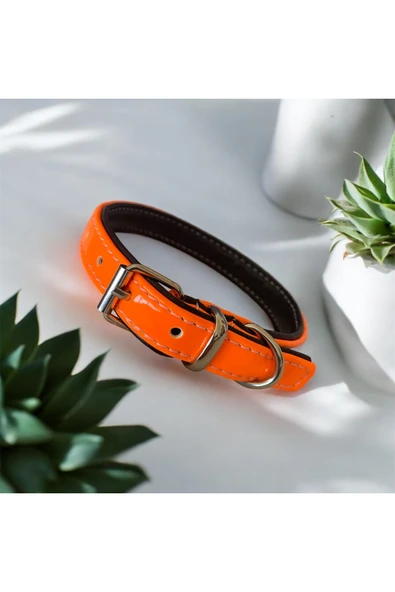 Zirve Tasma 40 cm deri köpek tasması - Resim 2